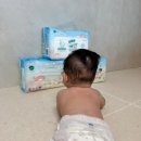 리라소프트 이미지