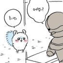 모몽가 이미지
