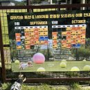 힐링포인트
