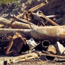 북부-강동-강동-02 이미지