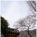연지곤지각시방 이미지