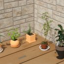 숲속으로 이미지