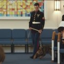 MAX(맥스) 이미지