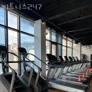 피트니스247 이미지
