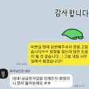 KOICA YP 인턴 지원하기까지의 과정&amp;후기 (푸른나무재단, 한국희망재단)