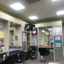 구피샵 영천점 네이버블로그