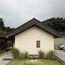 덕산 산딸나무길 | 예산 덕산 카페 둔리｜저수지뷰와 정원이 예쁜 카페 내돈내산