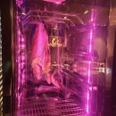 포항 효자동 오마카세맛집 아오미스시 넌 언제쯤 맛 없어질 거니