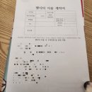 코리아펫 | 인천 도화동 고양이 펫시터 30분 홈케어 후기 with 코리아숏헤어 먼지와 돼지