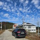 배수장 | 의성 배스낚시 핫스팟 | 신하 배수장 사이즈는 작아도 힘 좋은 마릿수 손맛 (훌치기 꾼 등장)