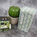 팔암경로당 | 잘때 몸 간지러움 잠 좀 푹 자고 싶을 때 해결 방법