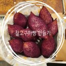 해운대 별밤학교 : 찰고구마빵 만들기 클래스