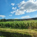 봉비마을2 | 프랑스 상파뉴 자크셀로스 호텔 Les avises 후기(+서브스탕스, 엠마누엘후제 에세조)