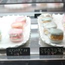 루나카롱 이미지