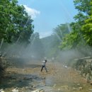 금오산 야영장 이미지