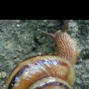 왕언니민박 이미지