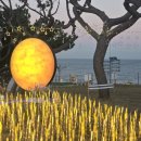 간절곶 공원 이미지