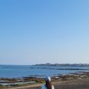 밍스제주 네이버블로그