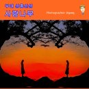 임천면행정복지센터 앞 주차장 | 부여 성흥산성 사랑나무 / ft 가림성 느티나무