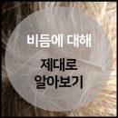 투에스테크 | 비듬에 대해 알아보기 및 관리하는 방법