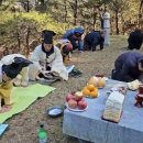 음력 시월시사(時祀) 고령화로 각 문중들 대책고심 ... 조상숭모 문중결속 추수감사 이미지