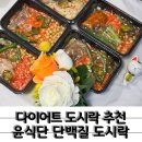 윤's함박·카레 | 직장인 단백질 도시락 추천 윤식단 단백밥 도시락 5종 후기