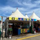국제오징어 | [속초]오징어난전 후기 ㅣ시세 가격, 주차, 메뉴 솔직 리뷰!