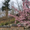 화담 곤지암 펜션 이미지