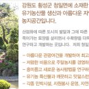 영기술개발 이미지