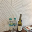 두꺼비시장 | Ep20. 부에노스아이레스 첫날 산텔모시장, 푸에르토 마데로, 두꺼비식당 방문기 + 하워드존슨 호텔 후기