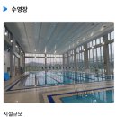 서울숲복합문화체육센터 자유수영 후기