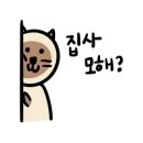 세컨드그라운드 - 42678 | 세컨드그라운드