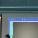 도지 | 동작구청도지 버크만 후기