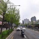 서울백세치과의원 이미지