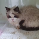 달성공원로 이미지