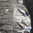보명약국 | 일상/송림동 현대시장 송포국수 맛집