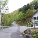 용유정