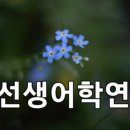 허선생어학연수 이미지