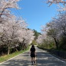 월심이네 이미지