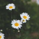 스텔라여성의원 이미지