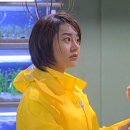 쉬리 이미지