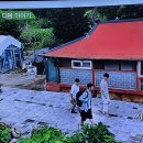 삼시세끼 라이트에 ㄷㄷㄷㄷ 이미지