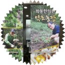 화동한의원 이미지