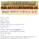 3박스 한정 ㅡ 퍽퍽!! 햇 밤고구마(진율미) 10키로 이미지