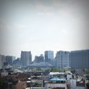 코리아탕 이미지