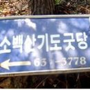 데미골 Daum카페