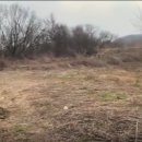 연천군부동산TV공인중개사사무소 네이버블로그