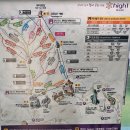 아이쪼아 | 정선 하이원리조트 알파인코스터 아이와 탑승 후기 할인부터 이용 꿀팁까지!