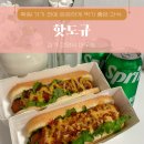 백마학원가 | 마두동 백마학원가 맛집 ‘핫도규’ 백마역 미국식 핫도그
