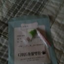 디위드동물병원 이미지